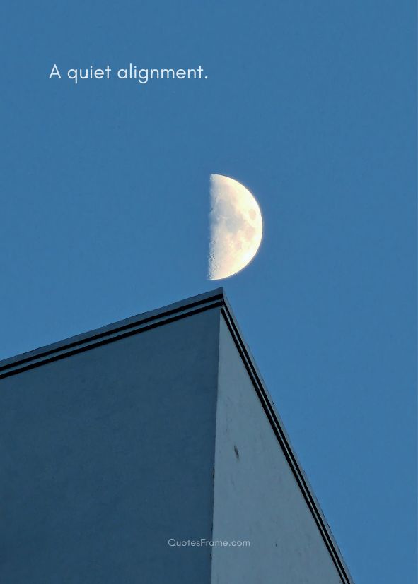 A quiet alignment., framed