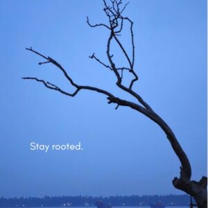 Stay rooted.