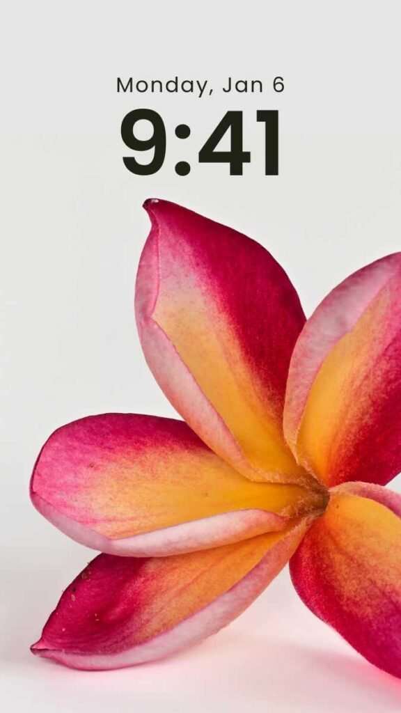 Bloom Quietly - Flower Wallpaper