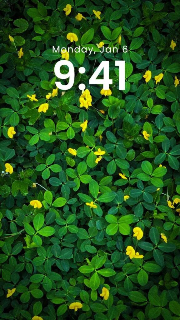Golden Meadow - Original Nature Phone Wallpaper