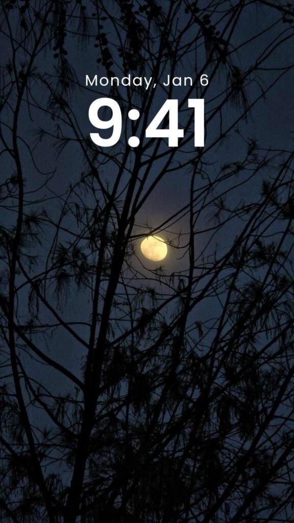 Moon Through the Pines - Original Night Sky Phone Wallpaper