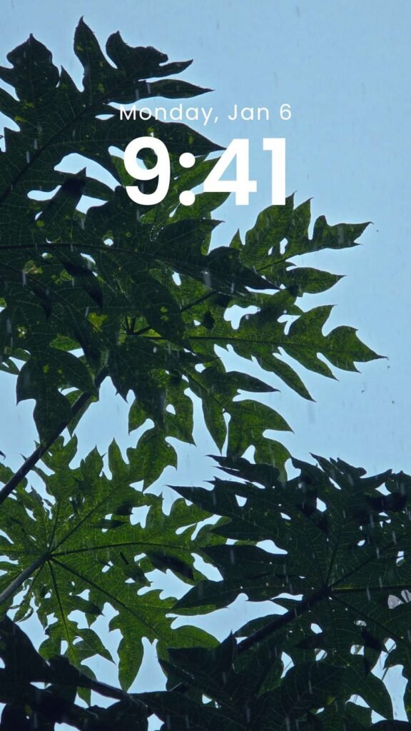 Rain Through the Leaves - Nature Phone Wallpaper