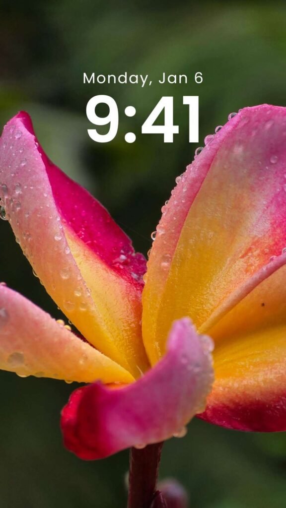Raindrop Bloom - Original Tropical Flower Phone Wallpaper