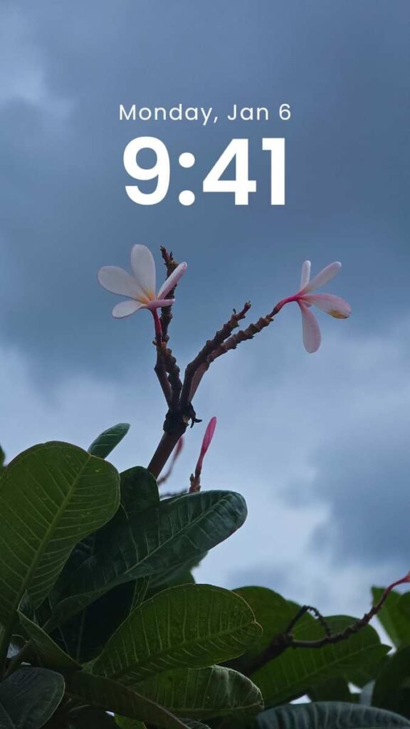 Sky Bloom – Original Nature Wallpaper for iPhone & Android