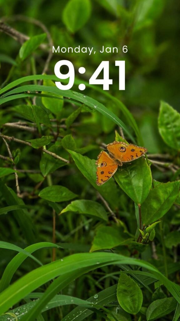 Wild Grace - Original Butterfly Phone Wallpaper
