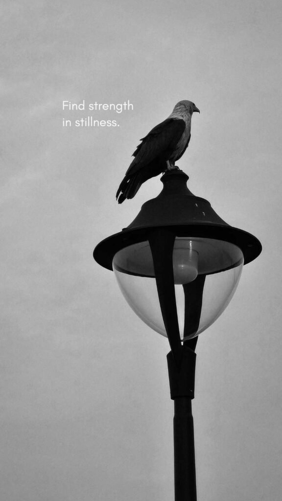 Find Strength in Stillness – Minimal Monochrome Bird Phone Wallpaper